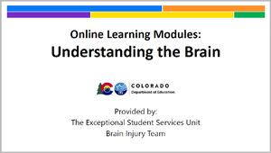 Opening Slide: Online Learning Modules: Understanding the Brain provided by the Exceptional Student Services Unit, Brain Injury Team. 
