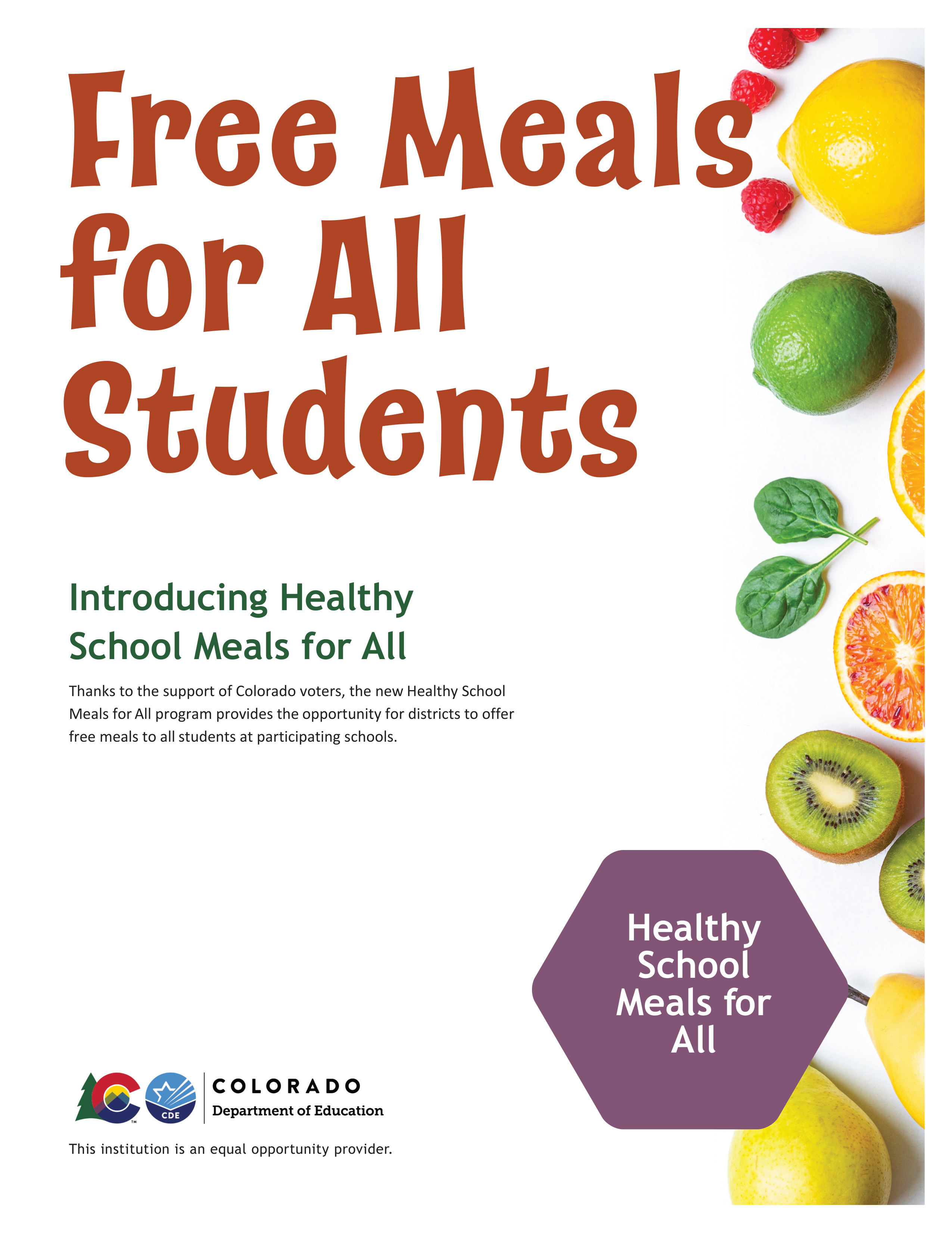 Healthy School Meals for All flyer preview