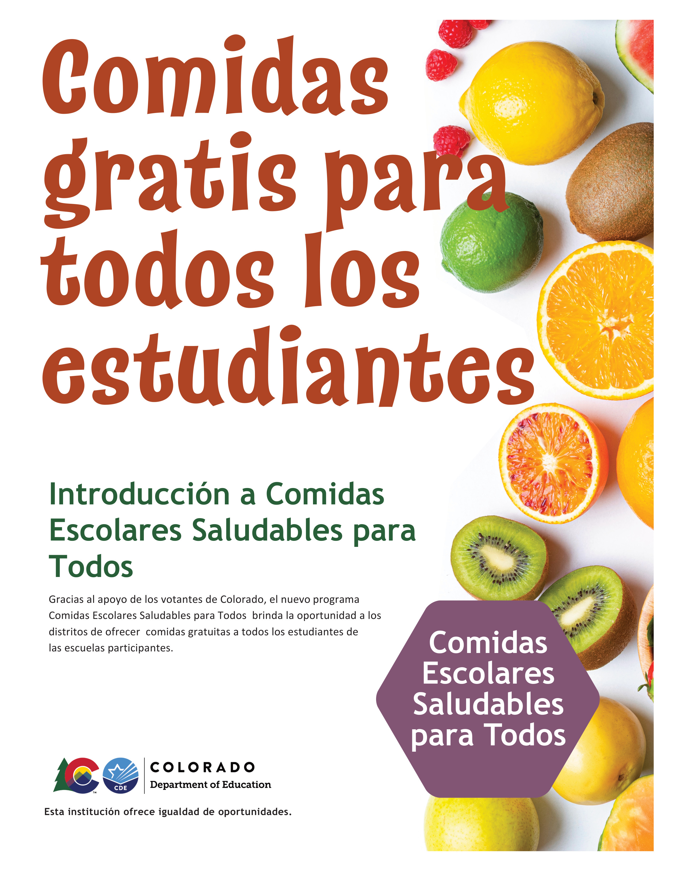 Healthy School Meals for All flyer preview in Spanish