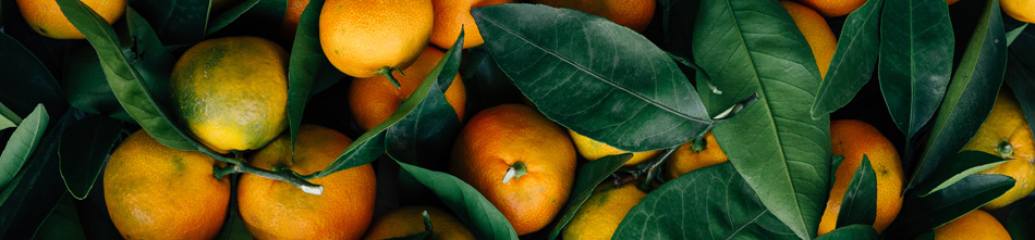 mandarin oranges and leaves